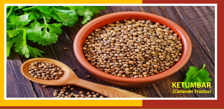 Khasiat Ketumbar Obati Gangguan Pencernaan Khasiat Ketumbar Obati Gangguan Pencernaan